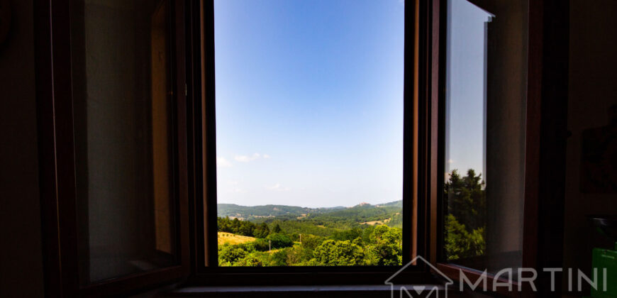 Appartamento con Corte Esterna, Cantine e Vista