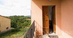 Appartamento con Corte Esterna, Cantine e Vista