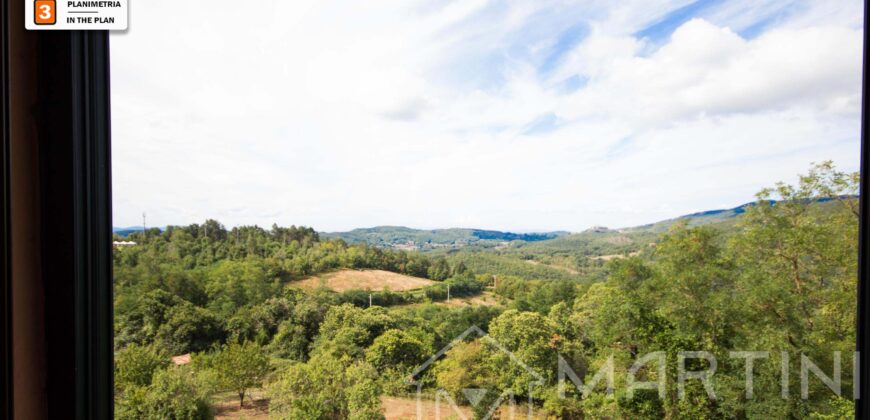 Appartamento con Corte Esterna, Cantine e Vista