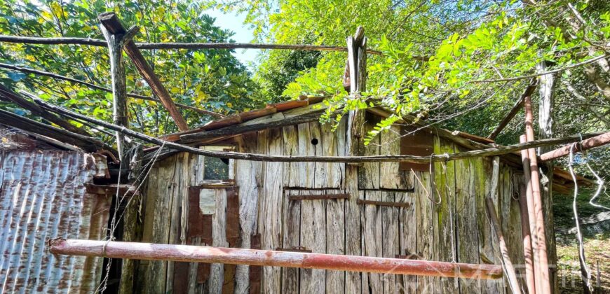 Orto in Vendita a Boccheggiano