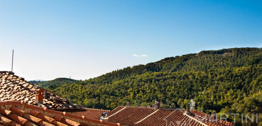 Appartamento Rustico Ristrutturato con Balcone