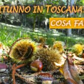 Autunno in Toscana: Cosa Fare