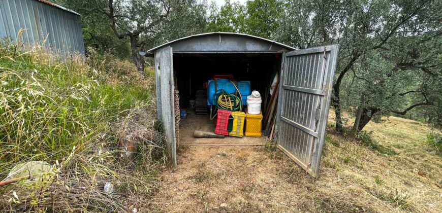 Oliveto a Tatti in Vendita | Terreno con Annessi