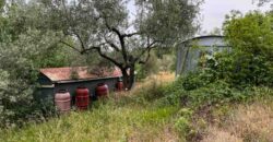 Oliveto a Tatti in Vendita | Terreno con Annessi