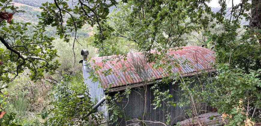 Oliveto a Tatti in Vendita | Terreno con Annessi