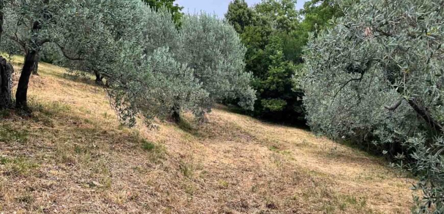 Oliveto a Tatti in Vendita | Terreno con Annessi