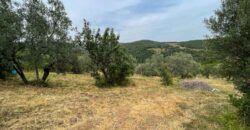 Oliveto a Tatti in Vendita | Terreno con Annessi