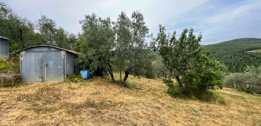 Oliveto a Tatti in Vendita | Terreno con Annessi