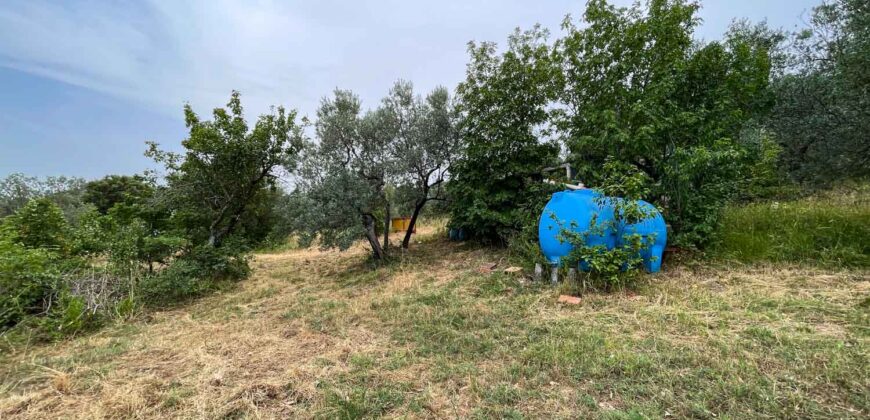 Oliveto a Tatti in Vendita | Terreno con Annessi